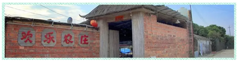 Zhuoli Technology Travel Memoir - Life Is Not Just Work