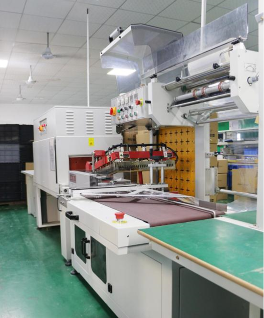 Shenzhen Trendz Technology Co., Ltd.